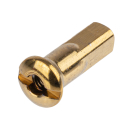 36L Speichennippel M3,5 + 3 mm - Gold TiN-Beschichtung